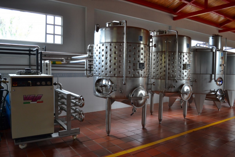 cave-VALLAURIS-min_wine_production_cantine_winery_drink_alcohol_vine_beverage-902036